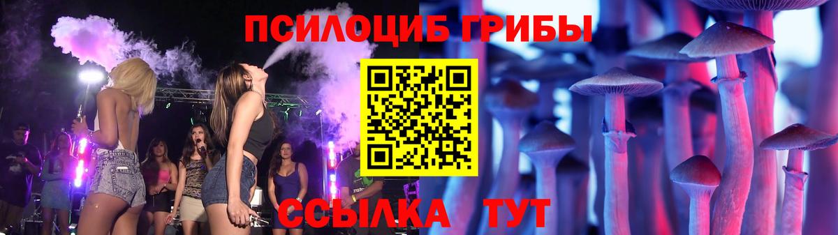 Псилоцибиновые грибы Psilocybine cubensis Ухта